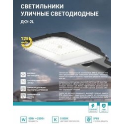 Светильник уличный линзованный светодиодный ДКУ-2L 120Вт 230В 5000К 15000лм 125лм/Вт 48-70мм IP65 NEOX 4690612057095